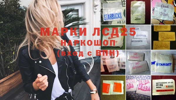 мдпв Елабуга