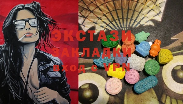 мдпв Елабуга