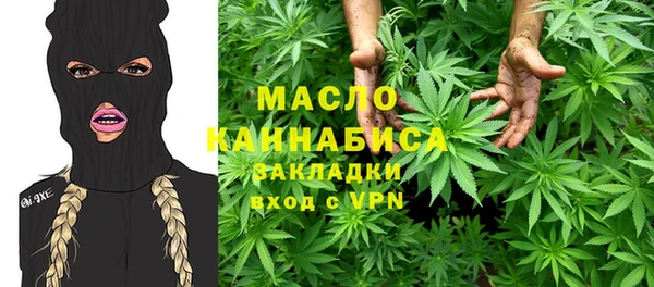мдпв Елабуга