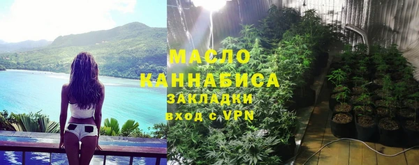 мдпв Елабуга