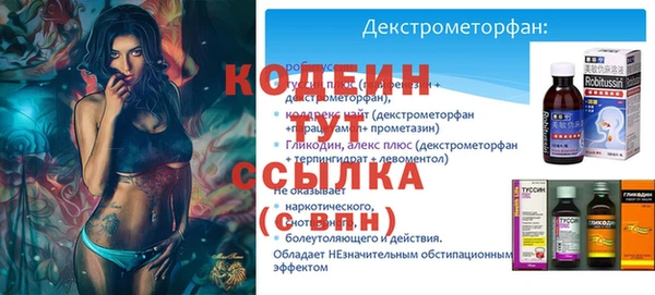 мдпв Елабуга