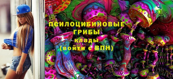 apvp Заволжье