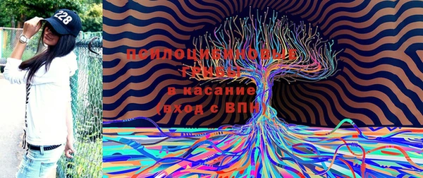 спиды Елизово