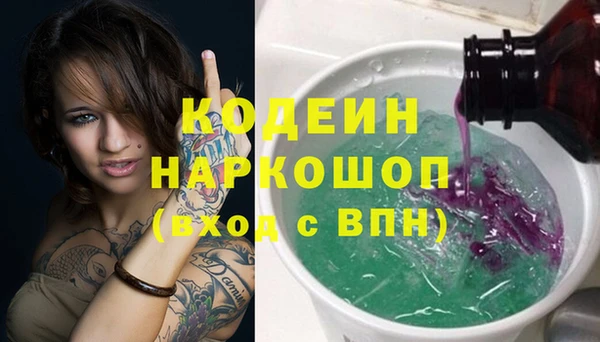 мдпв Елабуга