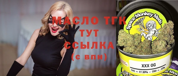 мдпв Елабуга