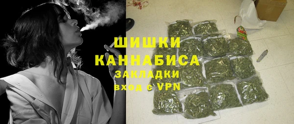 мдпв Елабуга