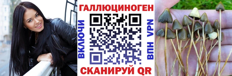 Псилоцибиновые грибы мухоморы  Купить закладки  Нариманов 